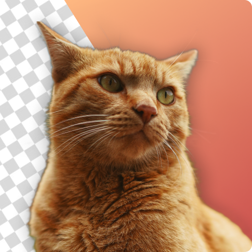 ازالة الخلفية